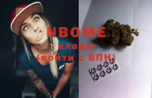 шишки Карпинск