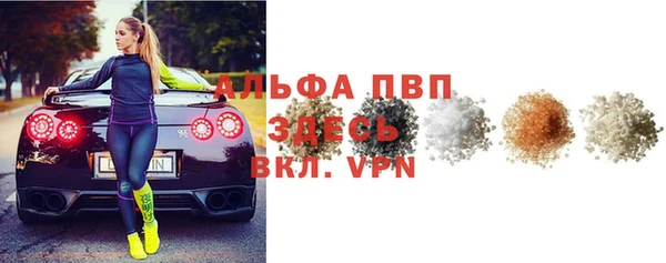 шишки Карпинск