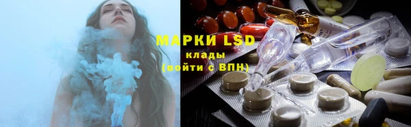шишки Карпинск