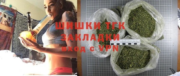 шишки Карпинск