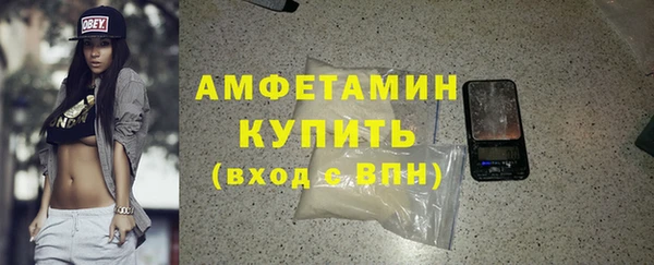 шишки Карпинск