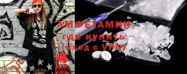 шишки Карпинск