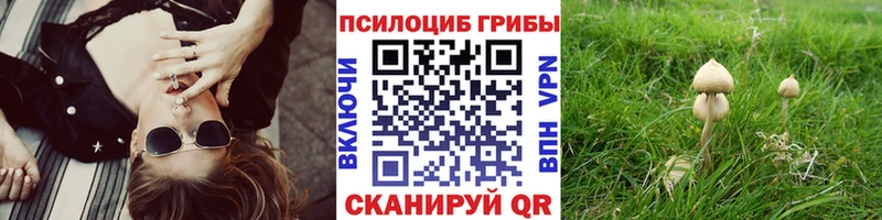 Галлюциногенные грибы мицелий  Купить  Демидов 